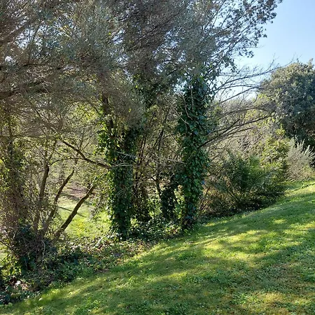 Casa Mene' Arzachena